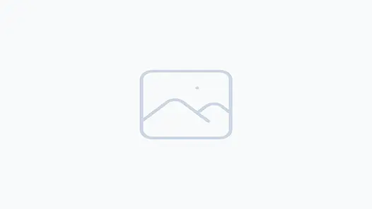 No preview available